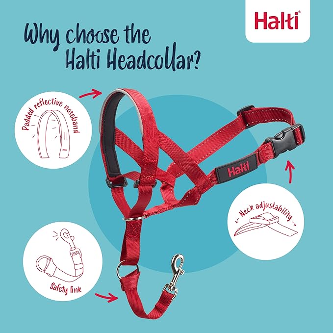 Halti Headcollar - Stop Your Dog Pulling on The Leash. Adjustable, Reflective and Lightweight, with Padded Nose Band. Dog Training Anti-Pull Collar for Medium Dogs (Size 2, Red)