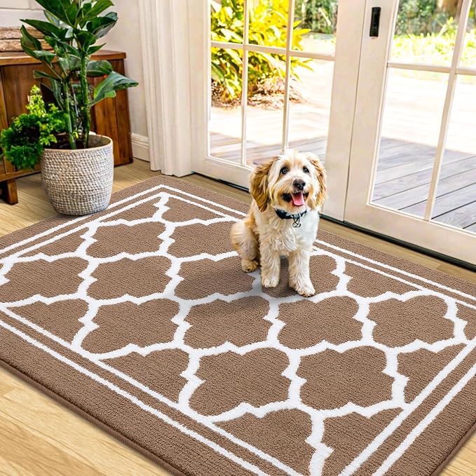 Buganda Indoor Door Mat, Dirt-Resistant and Absorbent Doormat, Low Profile