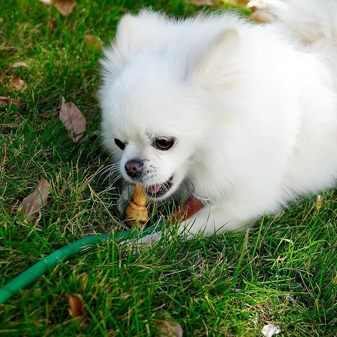 MON2SUN Dog Rawhide Knot Bones Small Rawhide Bones Mini Chews Chicken Flavour 2.5 Inch 60 Count for Puppy and Small Dogs