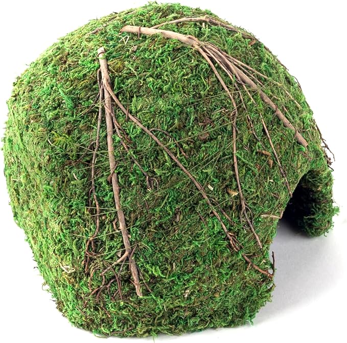 Galápagos (05368) Mossy Dome Hide - Natural Corner Cave for Reptile Enclosures, Terrariums, and Tanks, 9", Vined Green Moss