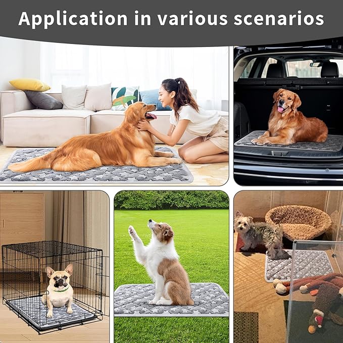 Soft Reversible Dog Crate Pad 2Pcs - 24x16 Inch, Plush Pet Mat, 0.6-inch Thick, Ideal for Small Dogs, Machine Washable