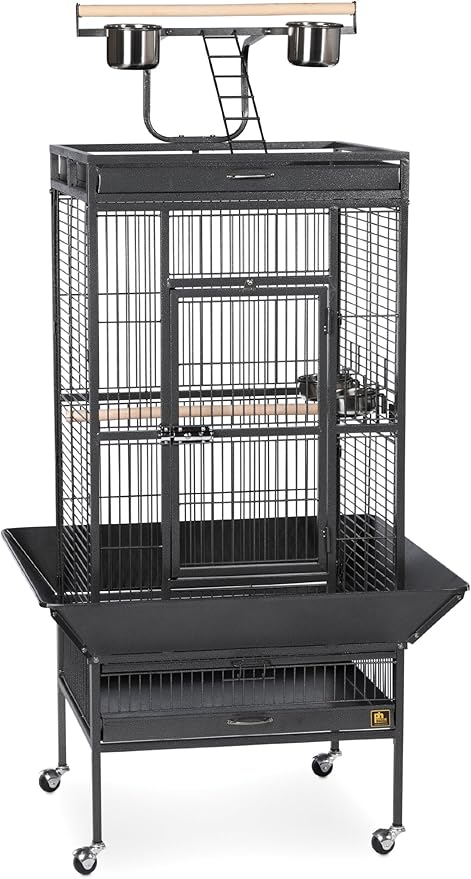 Prevue Hendryx 3152BLK Pet Products Wrought Iron Select Bird Cage, Black Hammertone,24'' x 20'' x 60''