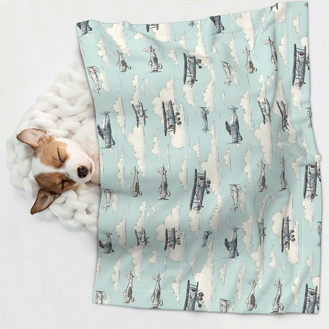 Waterproof Dog Blanket Soft Pet Blanket for Puppy Cat, Fleece Cat Throw Blankets for Furniture Bed Couch Sofa Reversible - Airplanes in The Sky 1