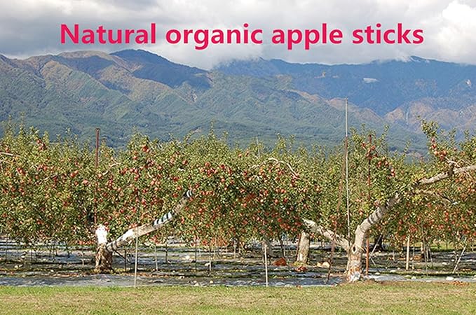 sharllen 400g (14.10oz) Natural Apple Sticks Wood Tree Branches Pet Snacks Chew Toys for Rabbit Hamsters Guinea Pig Chinchillas Squirrel and Other Small Animals by