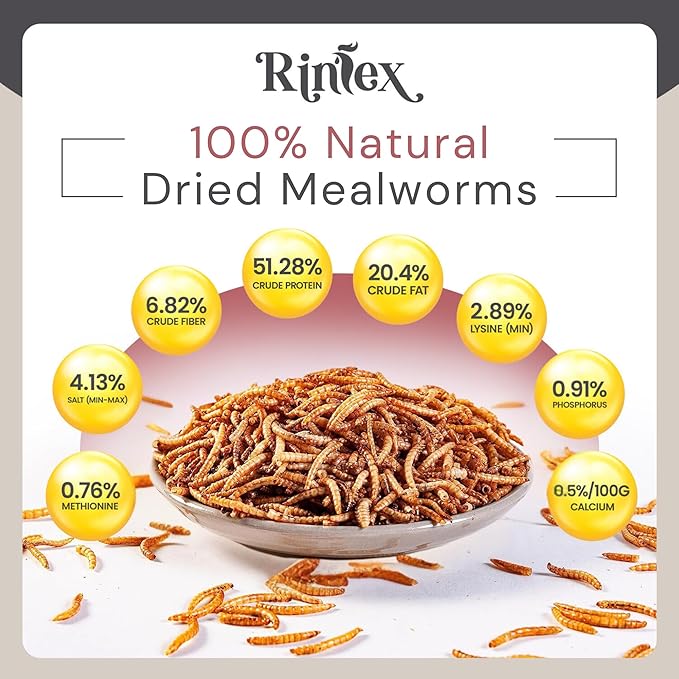 Dried Mealworms 10 lbs - More Protein Than Black Soldier Fly Larvae for Chickens (BSFL) - Wild Bird Seed for Outside Feeders - Worms for Chickens, Wild Birds, Bluebirds, Woodpeckers