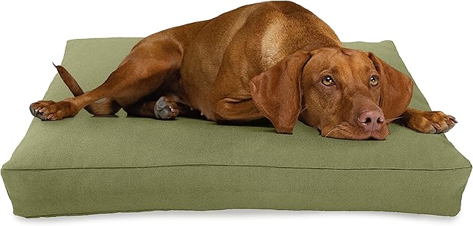 X-Small -24 x 18 x 4 - Cactus Premium Organic Hemp Dog Bed - Organic Latex Fill - Removeable Cover