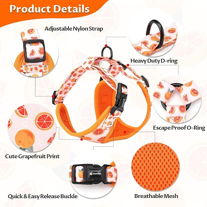 Dog Cat Harness and Leash Set, Puppia Soft Mesh Padded and Adjustable Puppy Vest Cute Dog Clothes Escape Proof Easy Walk Pet Accessories (Grapefruit, S (Neck 10.6"-13"; Chest 14"-19.6"))
