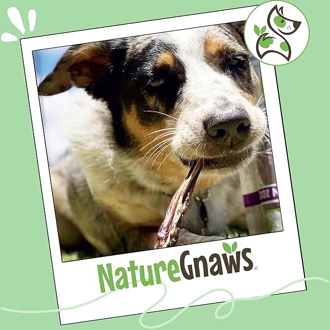 Nature Gnaws Extra Thin Pork Bully Sticks for Small Dogs 5-6" (50 Count) - Long Lasting for Light Chewers and Puppies - Natural Bacon Dog Chew Treats