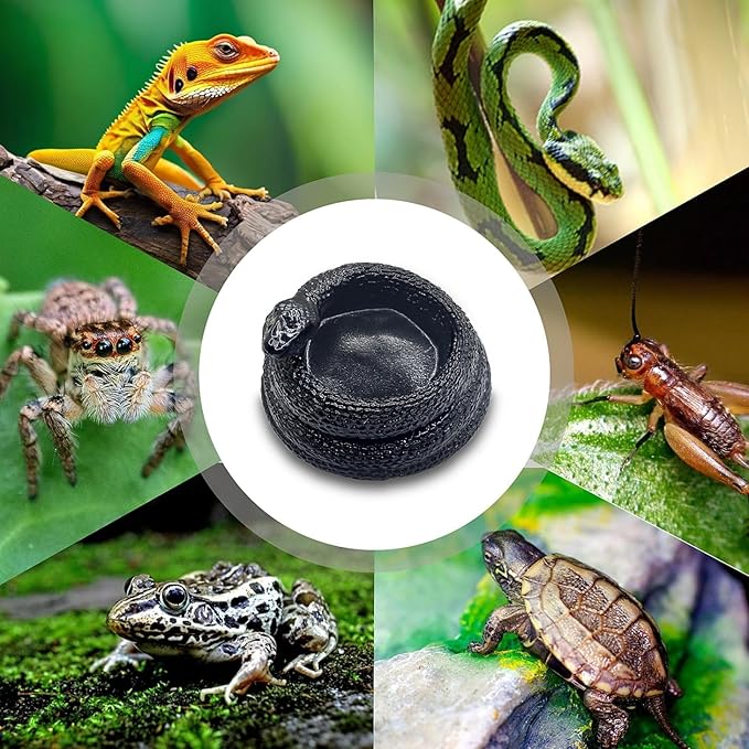 Snake-Shaped Reptile Water Dish & Food Bowl - Small Resin Terrarium Bowl for Bearded Dragon, Leopard Gecko, Hermit Crab, Tortoise, Frog, Lizard, Snake Habitat Tank Accessories