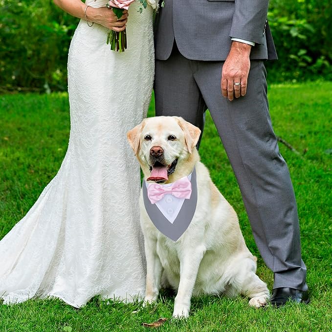 ADOGGYGO Formal Dog Tuxedo Wedding Pet Bandana Collar with Bowtie, Adjustable Birthday Wedding Formal Tux Costumes for Large Dogs Pets (L, Grey)