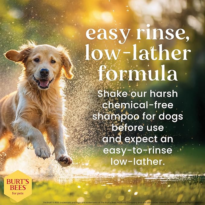 Burt’s Bees for Pets Oatmeal Dog Shampoo with Honey, Soothing Dog Shampoo for Itchy and Sensitive Skin, pH Balanced Formula That Gently Cleans and Moisturizes Dog Coats, 16 Fl Oz