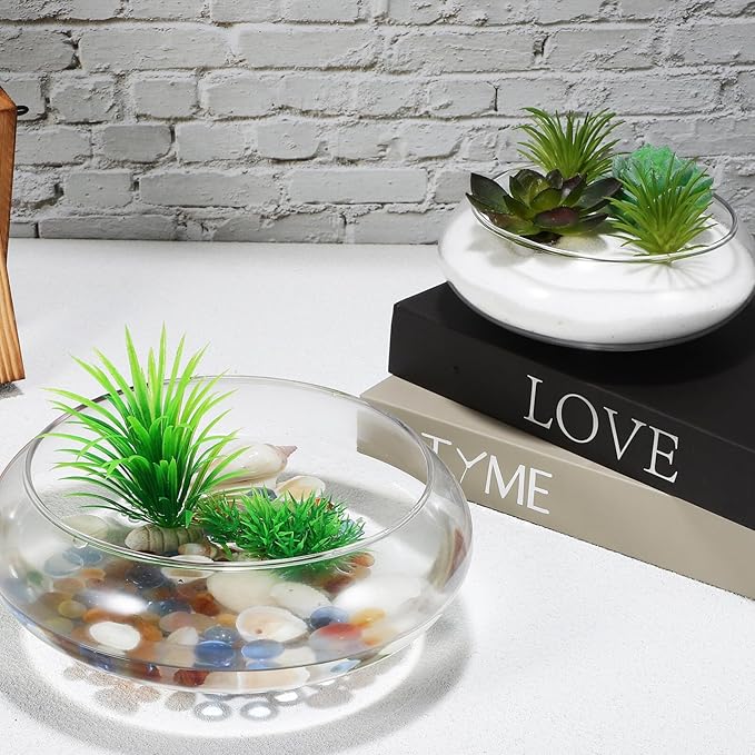 BESPORTBLE Glass Fish Bowl Vase - 2pcs Clear Shallow Bowl Planter Round Terrarium Hydroponic Planter Flower VAE for Plants Succulent Air Plant Candy Bowl, 15.00X15.00X6.00CM