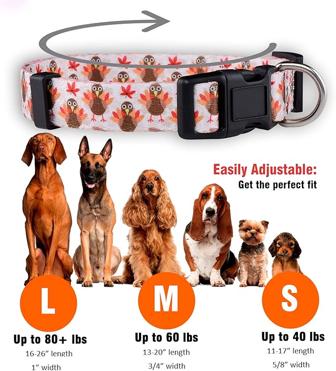 Native Pup Thanksgiving Dog Collar- Fall Collars for Dogs- Autumn Leaf, Turkey, Pumpkin Pie, Holiday Leaves- Girl Boy Puppy- Adjustable for Small, Medium, Large Breeds (Turkey, Medium)