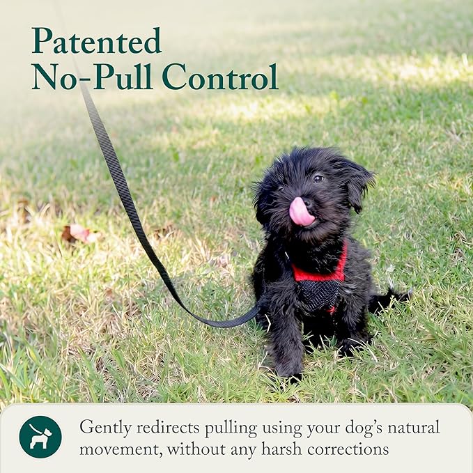Sporn No Pull Dog Harness, Durable Nylon Mesh Harness for Small Dogs, No Choke Design, Padded Restraint Sleeves, Adjustable Fit, Easy On/Off, Ideal for Small Breeds, Red