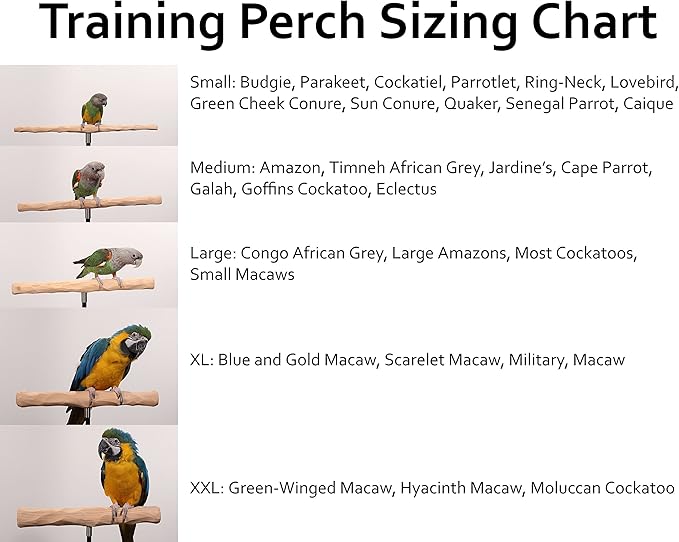 Parrot Training Perch Stand with Potty Tray (T Perch Hardwood, Medium)