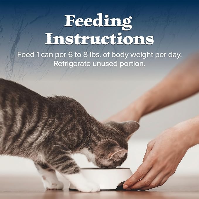 Blue Buffalo Wilderness Wild Delights Meaty Morsels Wet Cat Food, High-Protein & Grain-Free, Made with Natural Ingredients, Chicken & Turkey Recipe in Tasty Gravy, 3-oz. Cans (24 Count)