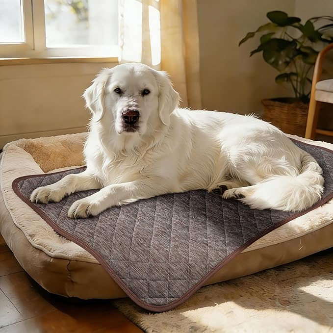 Cooling Mat for Dogs: Waterproof Pet Cooling Mat for Crate Kennel, Summer Indoor Dog Cooling Pad for Floor and Sofa, Dark Grey, Large Dog