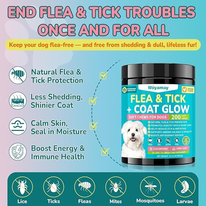 Flea + Coat Glow Soft Chews, Natural Flea and Tick Prevention for Dogs, Dog Flea and Tick Treatment Chewable, Reduces Itch & Shedding with Fish Oil & Neem, Chicken Flavor