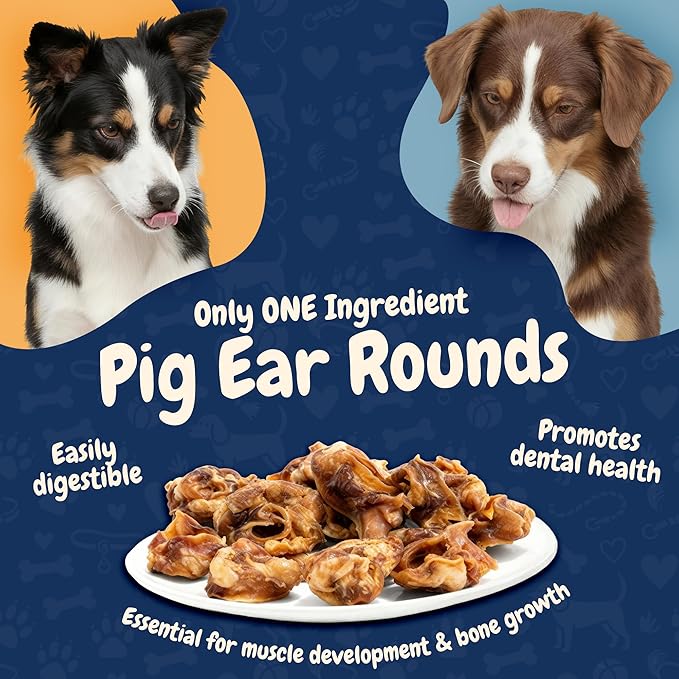 K9warehouse Premium Natural Pig Ears Rounds Packed in USA - 50 Count Pig Ears for Dogs Large - Tasty Pigs Ear Dog Treats - Bulk Pig Ears for Large/Small Dogs - Ideal Dog Pigs Ears Made for Training