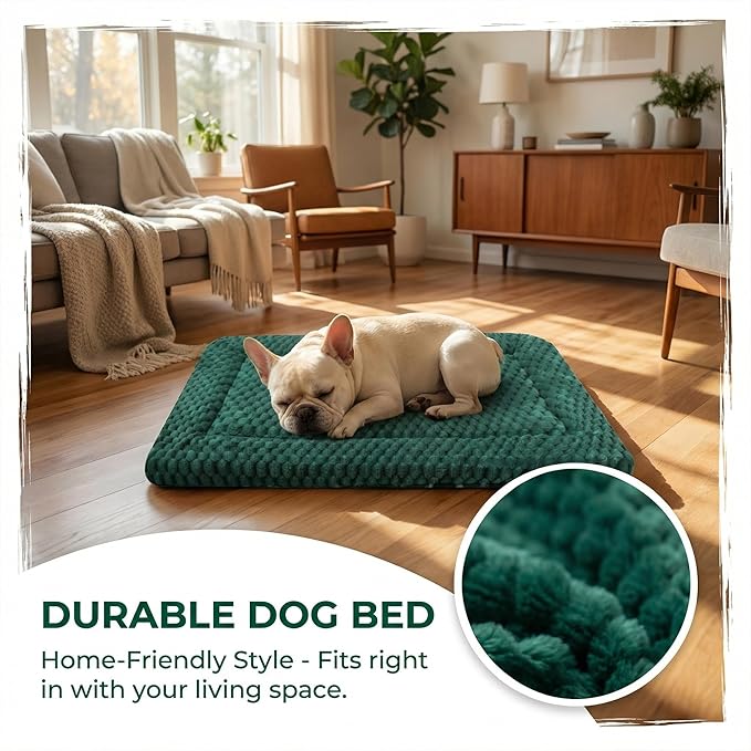 Dog Bed Mat, Reversible, Soft and Breathable Kennel Pad, Durable Crate Bed for Small, Medium, and Large Dogs and Cats (Green, S(24"*16"*1.2"))