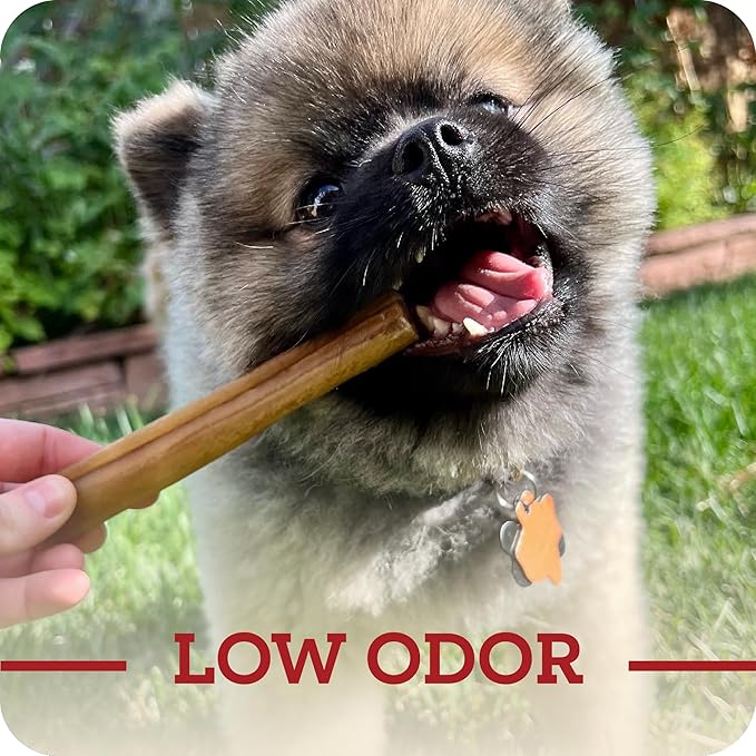 Beef Collagen Sticks - Long Lasting Chews. Bully Sticks Alternative, High Protein Dental Treats with Natural Collagen for Dogs. Supports Joint, Skin & Coat Health