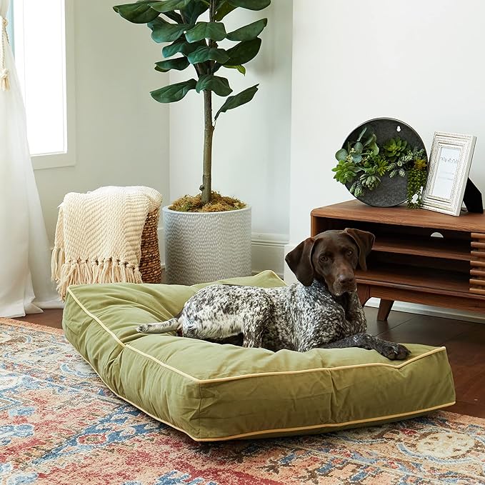 South Pine Porch Buddy Reversible Rectangle Pillow Style Microfiber Dog Bed with Removable, Machine-Washable Cover, Moss, Medium (42 in. x 30 in.)