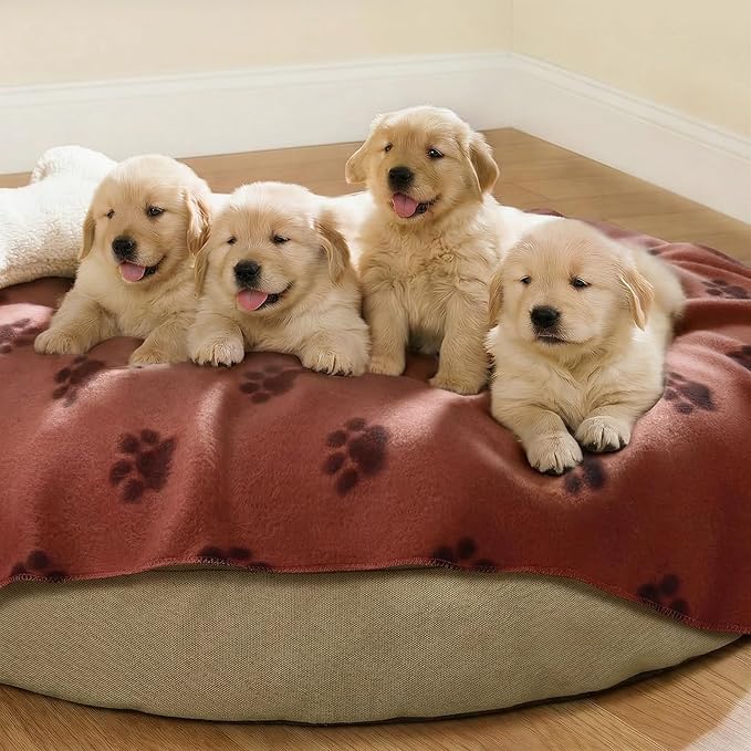 LINENLUX Cute Dog Blanket for Small Medium Dogs 6-Pack Soft Stretchy Fleece Blankets for Pet Cat Puppy Warm Wrinkle-Resistant Throw for Couch Bed Outdoor Coffee 40x31 inch (Pack of 6)