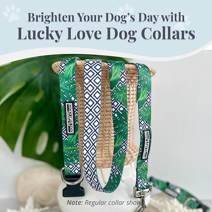 Lucky Love Dog Collar, Beautiful & Vivid Pattern X-Small Boy Dog Collars, Easy On & Off Clasp Accessory (Blue Laguna, XS)