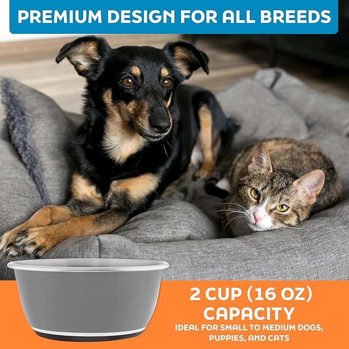 Master Pet Supply Stainless Steel Dog Bowls Set of 2 (16 Oz Each) with Non-Slip Rubber Base - Graphite - Basic Dog Food Bowl Water & Food Bowls for Small Medium Large Dogs & Cats, Metal Dish