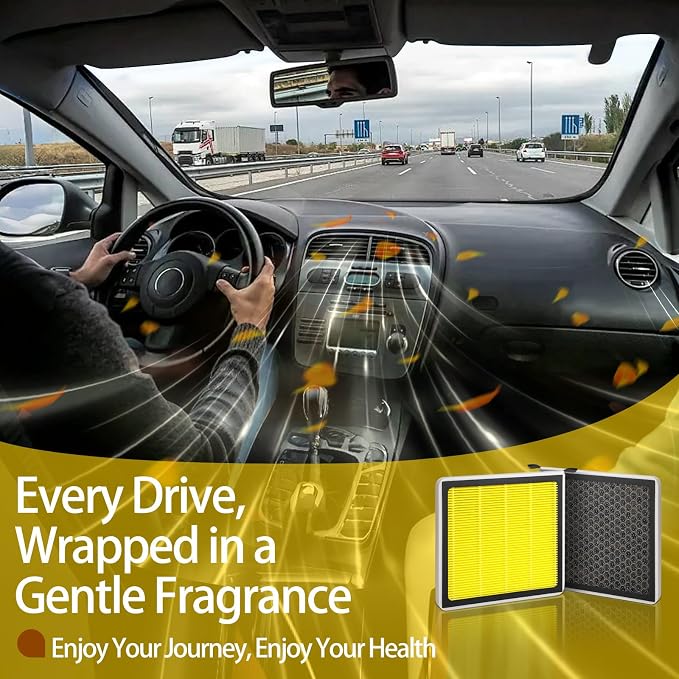 Cabin Air Filter CF11809 for 2014-202 Escalade, 2014-2018 Silverado 1500 and