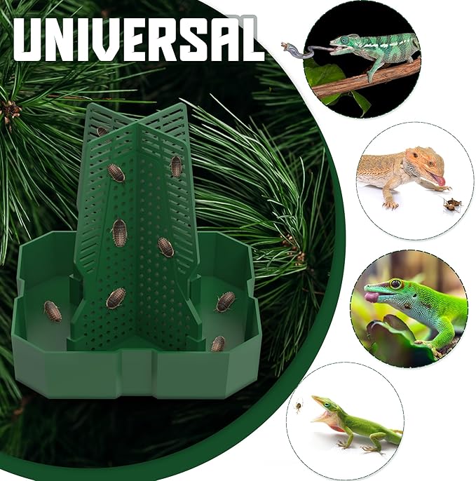 Chameleon Feeding Bowl for Reptile Terrarium, Climbable Design for Reptile to Hunt, Suitable for Feeding Lizards, Bearded Dragons, Geckos, Guardians, Frogs, Green, Small