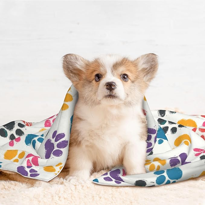 Colorful Paws Blanket for Pet - Dog Throw Blanket 23x16 Rainbow Couch Blankets for Puppy Dogs Cats