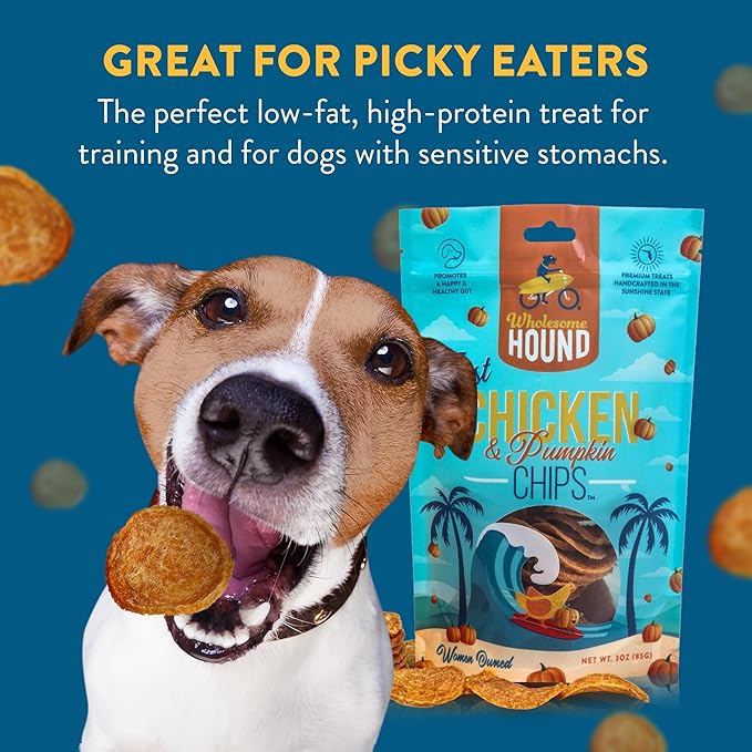 Chicken & Pumpkin Chips – Single Ingredient Dog Treats, All Natural & Healthy Training Snacks for Small, Medium & Large Breeds, Puppies – High Protein, 3oz