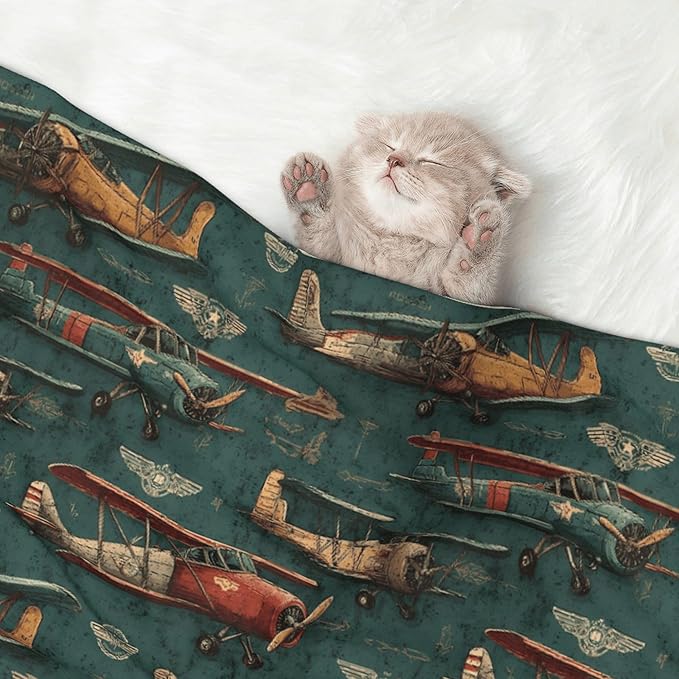 Waterproof Dog Blanket Soft Pet Blanket for Puppy Cat, Fleece Cat Throw Blankets for Furniture Bed Couch Sofa Reversible - Airplanes and Aviation Signs 1