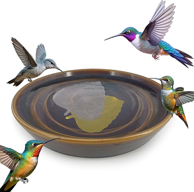 RONDURE 2 pcs Bird Bath Purification Disk Copper and Iron-Silver 4 Inch Bird Bath Water Cleaner Disk, All-Season Water Purifier (Iron-Silver Alloy and Copper-Coated)