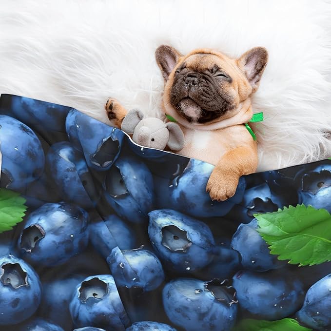 Waterproof Dog Blanket Soft Pet Blanket for Puppy Cat, Fleece Cat Throw Blankets for Furniture Bed Couch Sofa Reversible - Fresh Blueberries