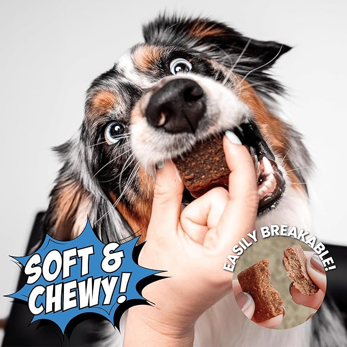Chippin Dog Treats, Healthy Soft Chewy Treats with Fish Protein & Pumpkin, Grain Free Dog Treats for Training or Rewards for Small, Large Dogs, Natural Ingredients for Sensitive Stomach, 4 Pack