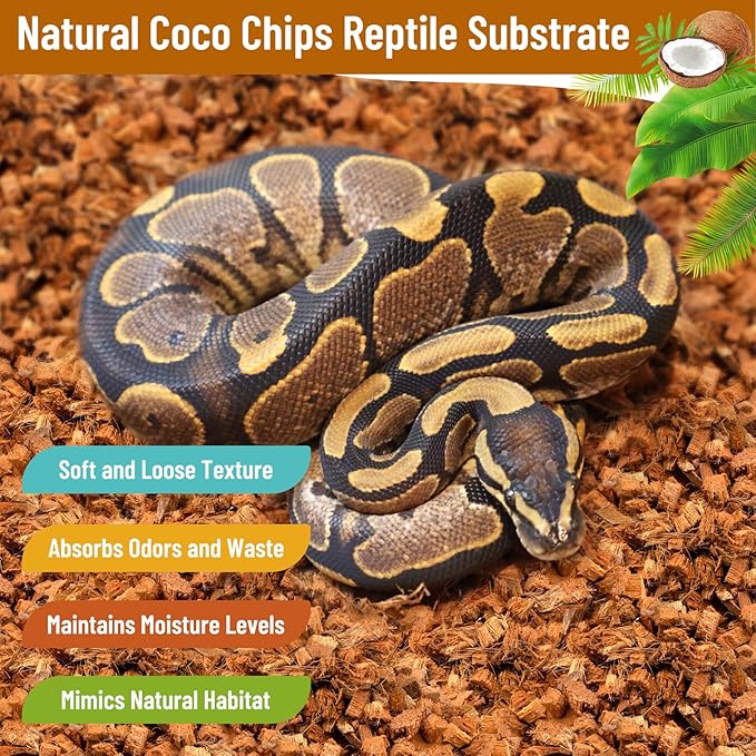Riare 8 Pack Natural Coconut Chip Substrate for Reptiles- Compressed Coconut Husk Reptiles Bedding, Coco Husk Chip Terrarium Substrate for Snakes, Tortoises, Ball Python, Frogs, Bearded Dragon, Lizard
