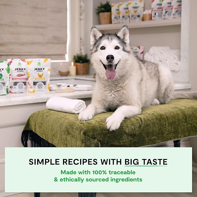 Open Farm, Dog Jerky Treats, Soft & Chewy Oven-Baked Jerky Strips Made with Ethically & Sustainably Sourced Ingredients, Protein Packed Dog Treats, Grain Free Wild Caught Salmon Recipe, 5.6oz Pouch