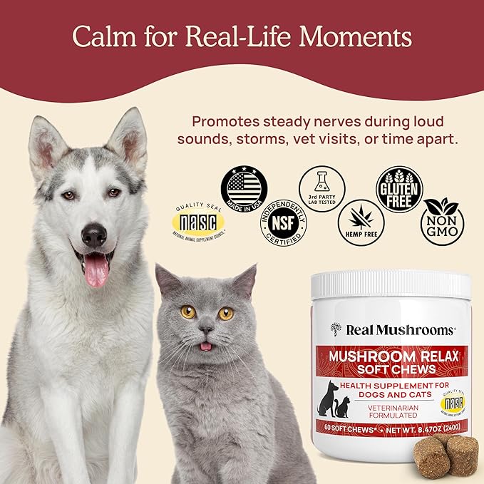 Calming Chews for Dogs & Cats – Soft Chews with Reishi & Lion’s Mane for Daily Composure – for All Breeds & Sizes – Calming Treats for Dogs: 1 Chew/20 lb Daily; Cats: ¼ Chew Twice Daily – 60 Count