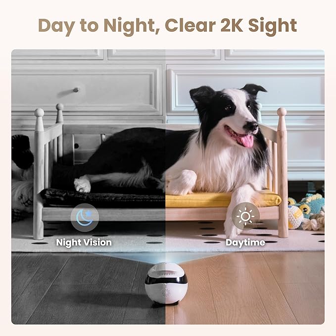 Enabot EBO Air 2 FamilyBot Indoor Security Camera Robot: 2K Pet Camera, Movable Home Robot, Custom Facial Expression, Auto-Recharge, Battery-Operated, 2-Way Talk, Night Vision(Jay Blue)