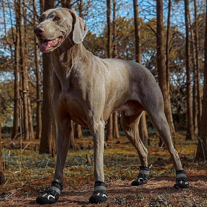 Dog Shoes, Waterproof Dog Boots & Paw Protectors with Anti-Slip Sole, 4pcs/Set Pet Dog Booties, Reflective Dog Shoes for Small Medium Large, Winter Snowy Summer Hot Pavement (Black, 3# (XS))