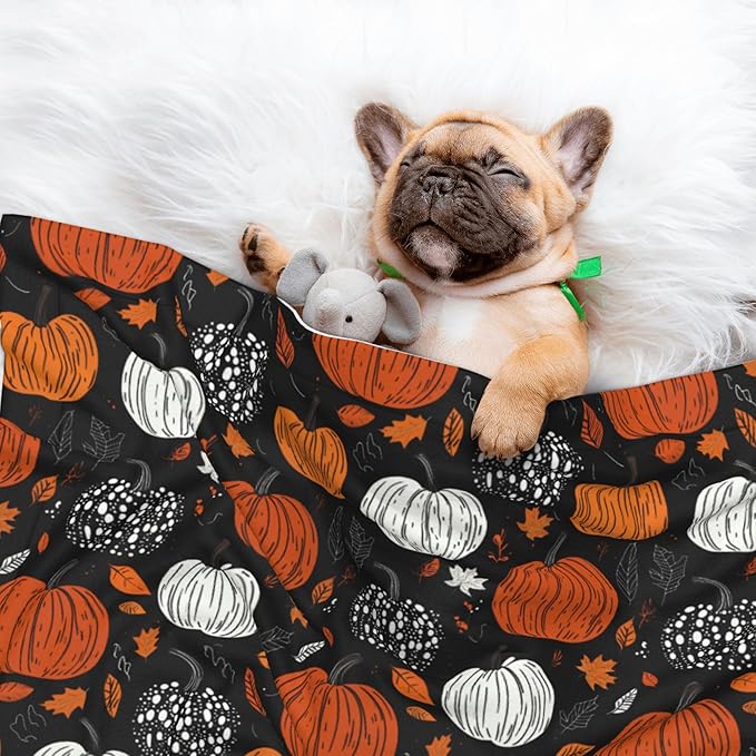 Fall Pumpkins Throw Blanket - Halloween Blanket for Dog Cat Autumn Pet Blankets 23x16 for Couch Sofa Bed
