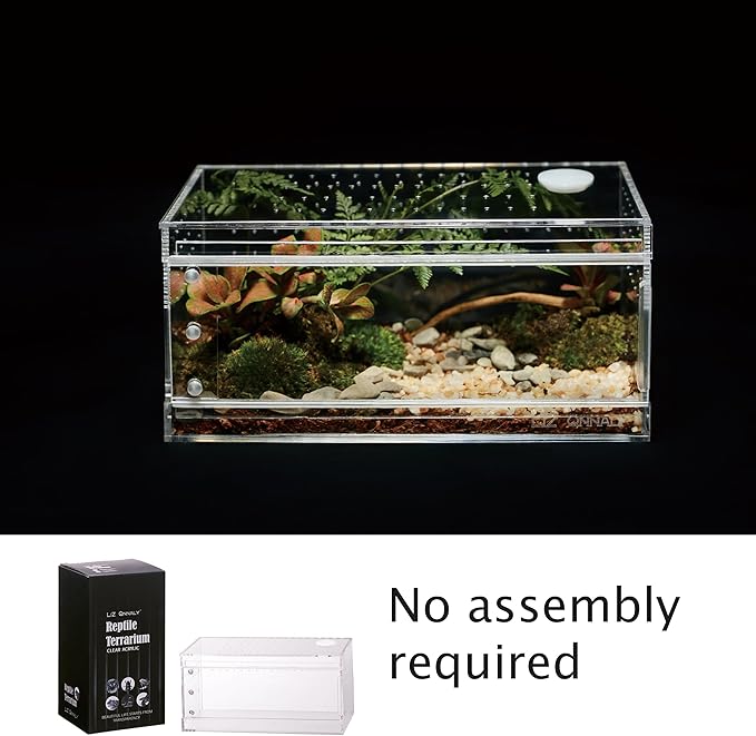 Acrylic Terrarium for Reptiles & Spiders – Small/Medium/Large Leak-Proof Enclosure (Horizontal/Vertical) | Ideal for Tarantulas, Jumping Spiders, Frogs & Geckos(Small Horizontal)