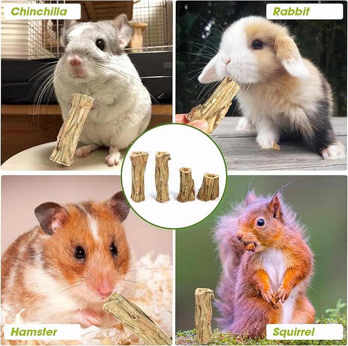 Abizoo Rabbit chew Toys for Bunnies,4 Pcs Natural Papaya Wood Chew Sticks Bunny Chews for Teeth Chinchilla Guinea Pig Hamster Gerbil Degu Small Animals to Keep Busy Molar Treats Toys