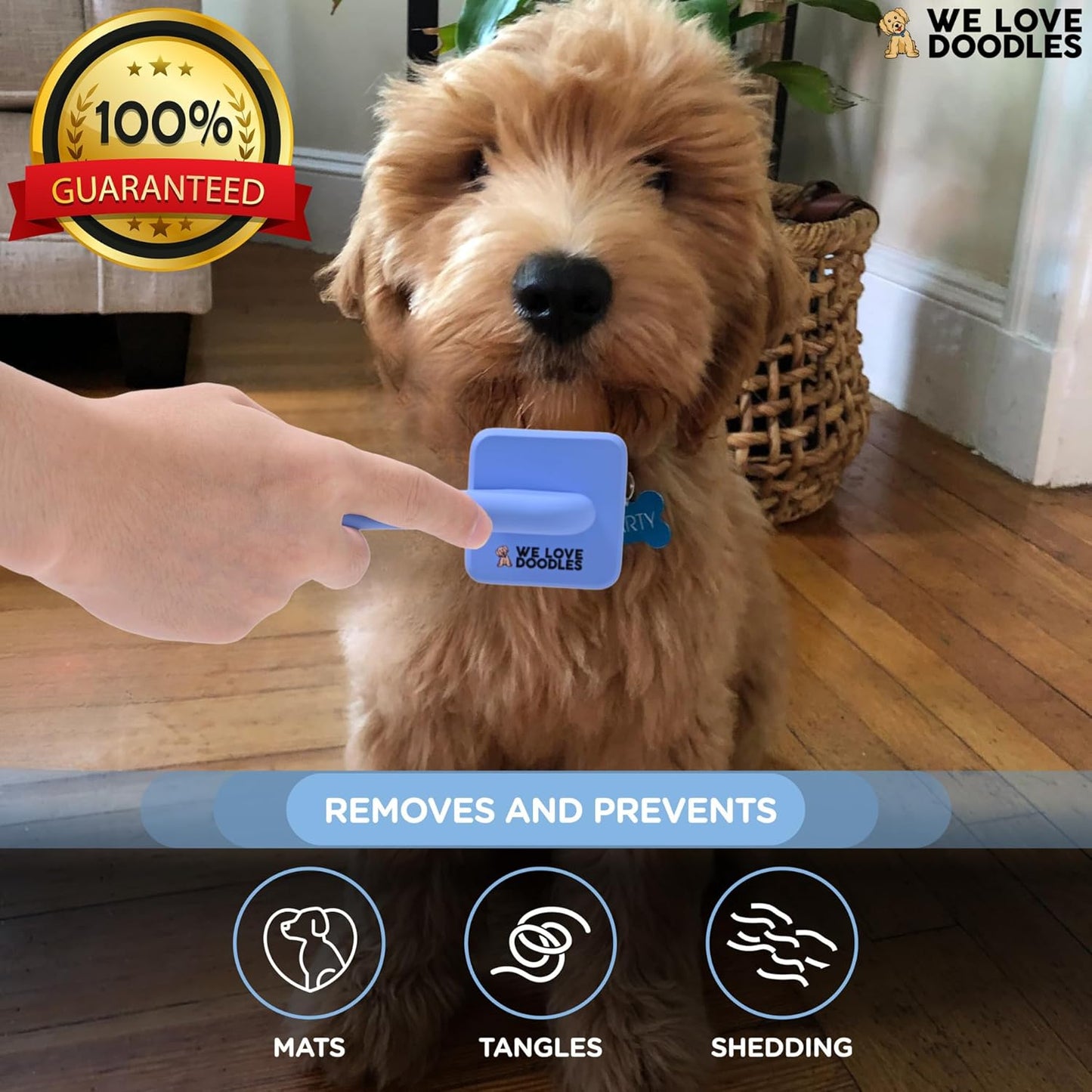 We Love Doodles Grooming Bundle Extra Small Dog Slicker Brush & Lavender Doodle Detangler Spray - for Grooming Pet Hair, Detangler Spray for Dogs - Tangle Remover