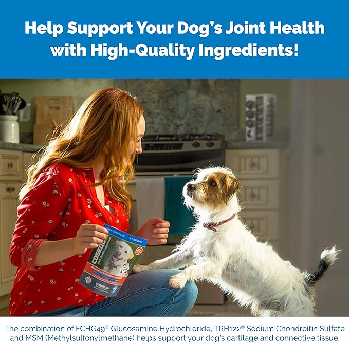 Nutramax Cosequin for Dogs Joint Health Supplement, Contains Glucosamine for Dogs, Plus Chondroitin, Supports Healthy Joints, Chewable Tablets, 250 Count