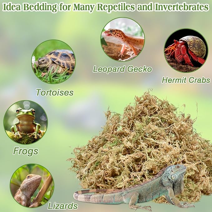Halatool 1.5LB Natural Sphagnum Moss for Reptiles Premium Reptile Moss Ideal Terrarium Moss for Box Turtles Hermit Crabs Leopard Gecko Snakes and Hamsters Enclosure