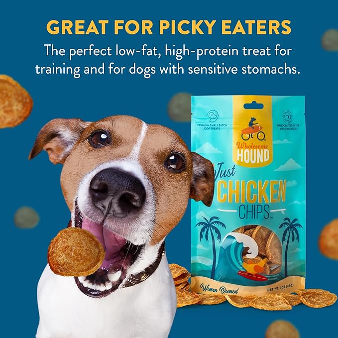 Chicken Chips – Single Ingredient Dog Treats, All Natural & Healthy Training Snacks for Small, Medium & Large Breeds, Puppies – High Protein, Made in US 3oz