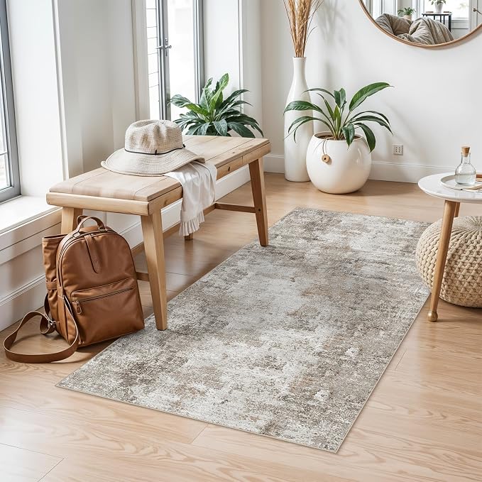 2x4 Washable Entryway Area Rug